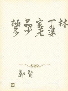 极品家丁林三有多少老婆