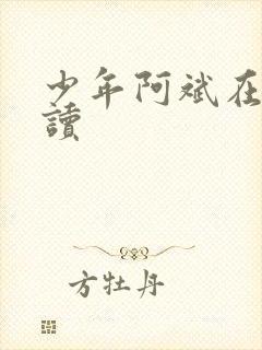 少年阿斌在线阅读