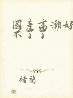 国产高潮好爽受不了了