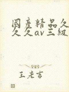 国产精品久久久久久av三级封面