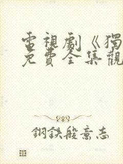 电视剧《独狼》免费全集观看