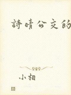 诗晴公交的小说