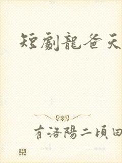 短剧龙爸天下