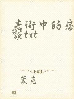 老街中的痞子小说txt