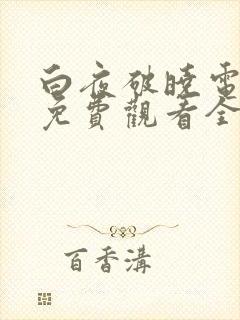 白夜破晓电视剧免费观看全集