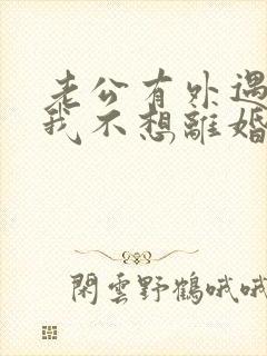 老公有外遇咋办我不想离婚