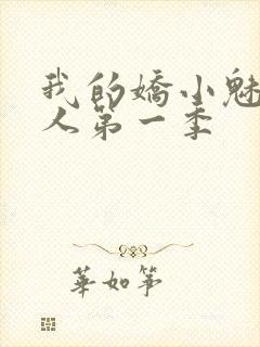 我的娇小魅魔仆人第一季