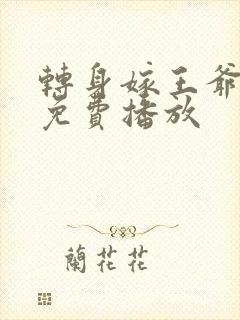 转身嫁王爷短剧免费播放