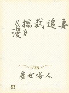 《总裁追妻路漫漫》封面