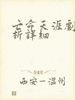 亡命天涯剧情解析详细