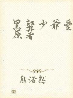 黑帮少爷爱上我原著封面