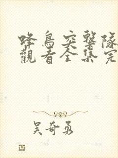 蜂鸟突击队免费观看全集完整版高清封面