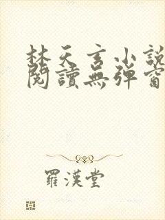 林天玄小说免费阅读无弹窗