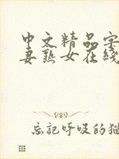 中文精品字幕人妻熟女在线