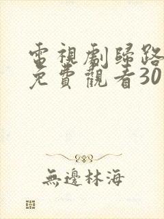 电视剧归路全集免费观看30集完整版