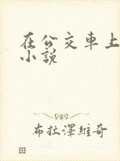 在公交车上被奸小说