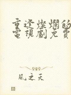 重逢灿烂的日子电视剧免费观看