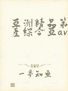 亚洲精品第一国产综合亚av
