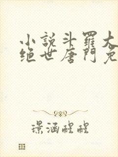 小说斗罗大陆2绝世唐门免费阅读全文作者