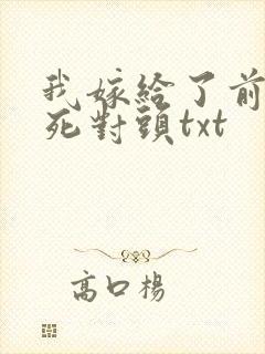 我嫁给了前世的死对头txt封面