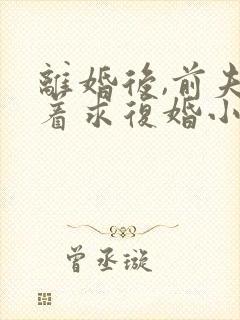 离婚后,前夫哭着求复婚小说全文在线阅读