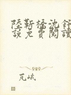 陆靳桥沈舒宁小说免费阅读最新章节