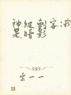 神级刺客:我即是暗影封面