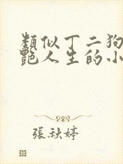 类似丁二狗的猎艳人生的小说