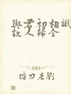 与君初相识犹如故人归全封面
