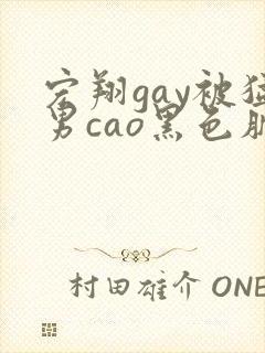 宏翔gay被猛男cao黑色肌肉封面