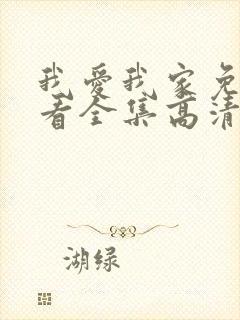 我爱我家免费观看全集高清