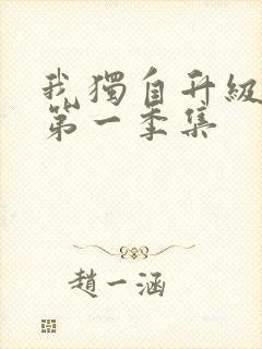 我独自升级动漫第一季集