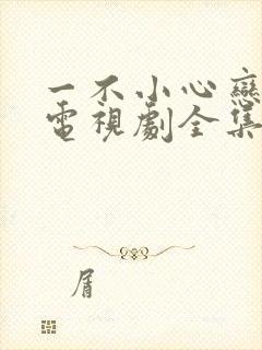 一不小心恋爱了电视剧全集免费封面