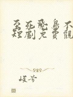 至死飞鸟不相逢短剧免费观看封面