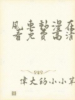 风车动漫在线观看免费高清完整版封面