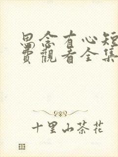 思念有心短剧免费观看全集高清