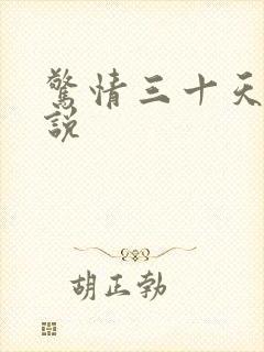 惊情三十天 小说