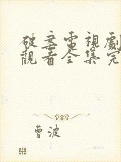 破案电视剧免费观看全集完整版封面