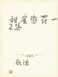 甜蜜惩罚一到12集