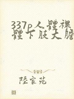 337p人体裸体下肢大胆开瓣免费视频