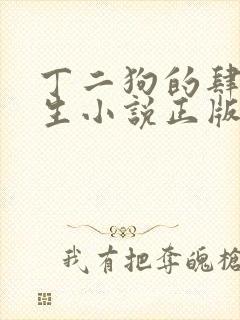 丁二狗的肆意人生小说正版