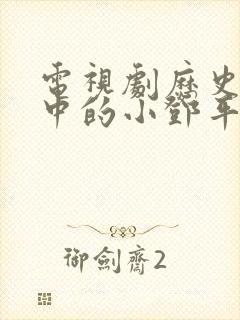 电视剧历史转折中的小邓平演员表封面