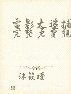 电影大追捕在线完整免费观看国语