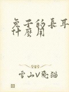 兔子的长耳朵有什么用