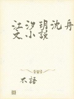 江汐玥沈舟琛全文小说封面