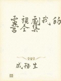 电视剧我的特一营全集