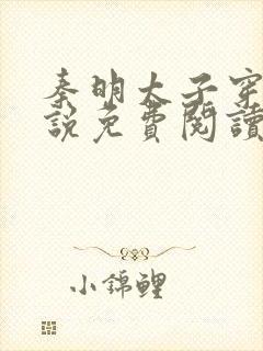 秦明太子穿越小说免费阅读