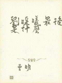 刘暖曦最后结局是什么