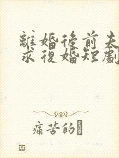 离婚后前夫哭着求复婚短剧