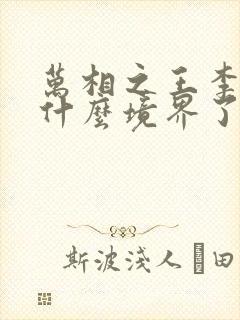 万相之王李洛到什么境界了